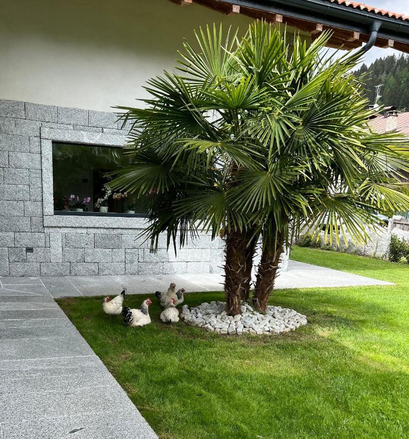 B&B Casa Il Sasso Pinzolo Esterno foto