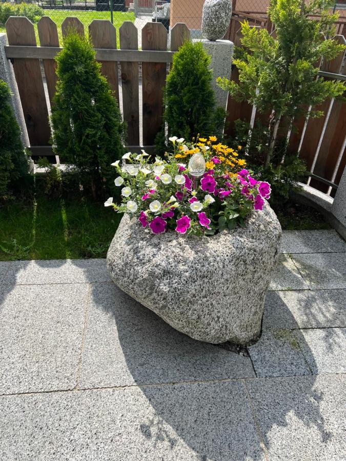 B&B Casa Il Sasso Pinzolo Esterno foto